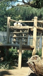 DSC_0061-1.jpg